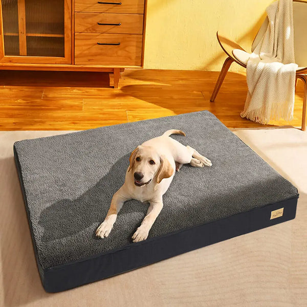 Orthopedic Beds