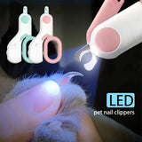Smart pet food dispenser with timer and portion settings