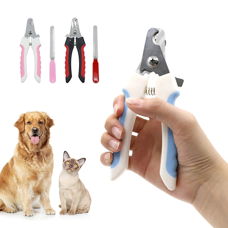 Timed automatic pet feeder with portion control for senior dogs