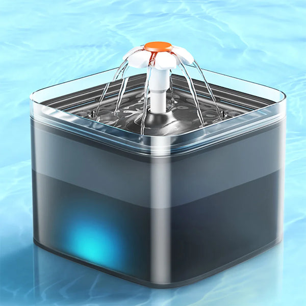 Pet water fountain with multi-stage filtration for senior pets